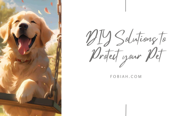 DIY solutions to protect your pet from tick fever