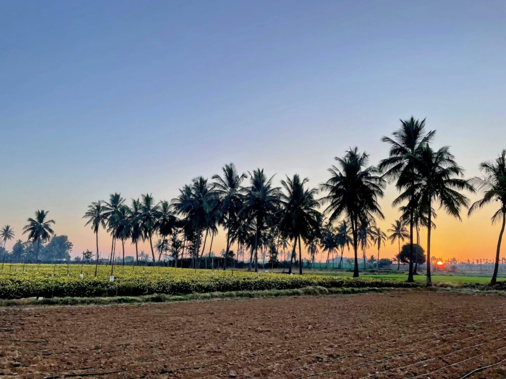 sunrise in india