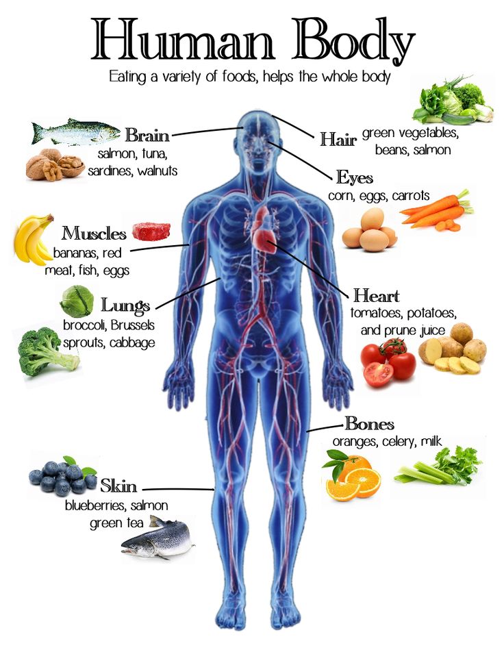 food needs of the human body