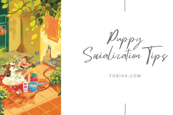 Puppy Socialization Tips