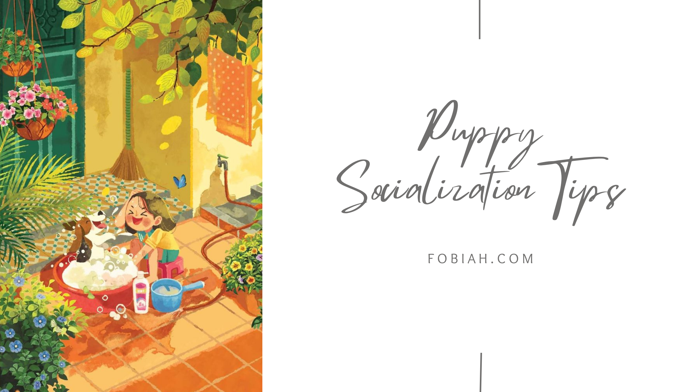 Puppy Socialization Tips