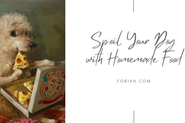 Spoil Your Dog with Homemade Food